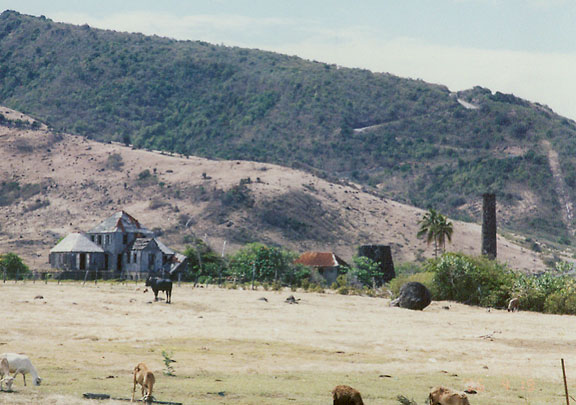 Photograph of a farm