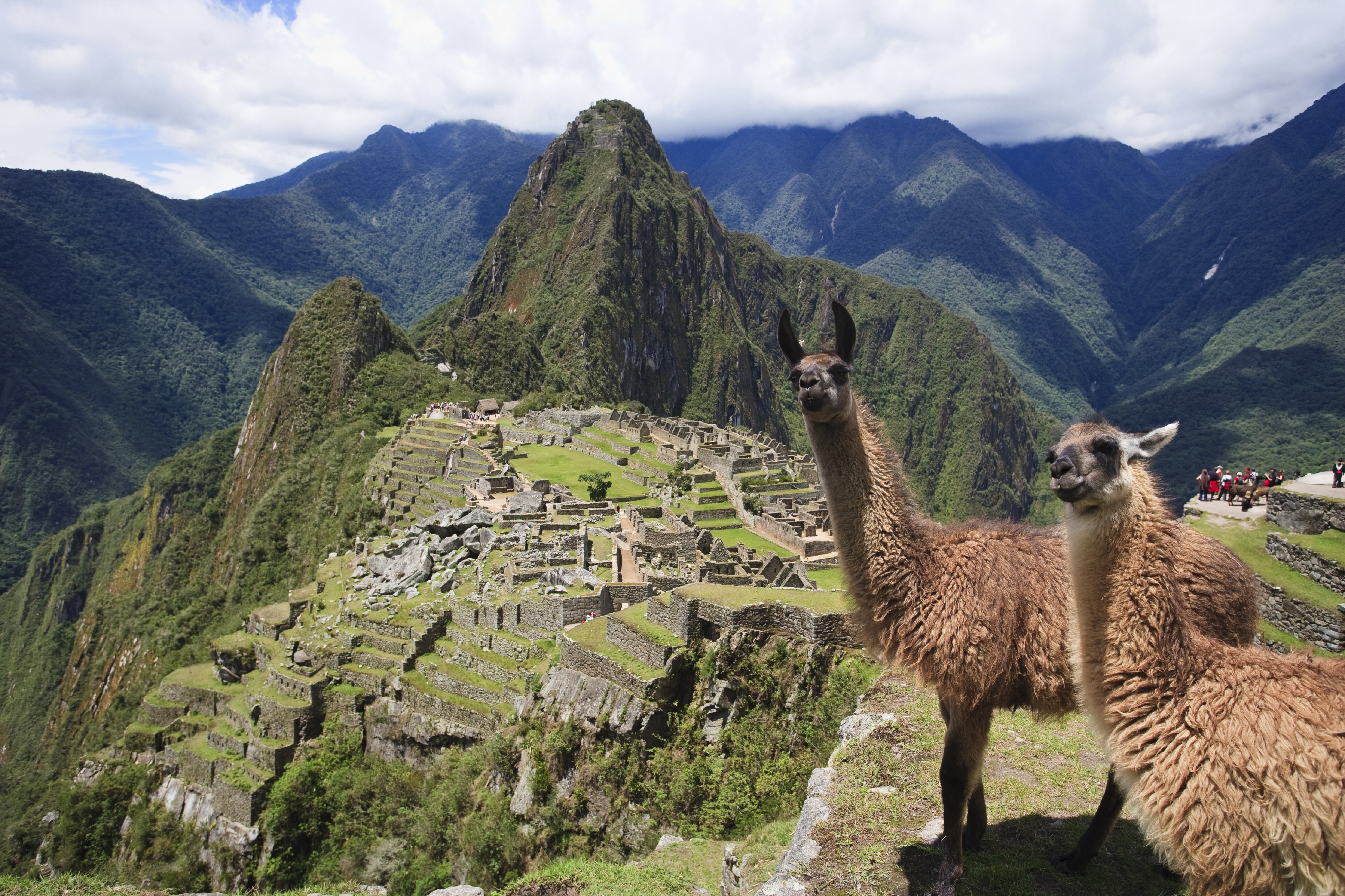 Jo Llama Macchu Picchu