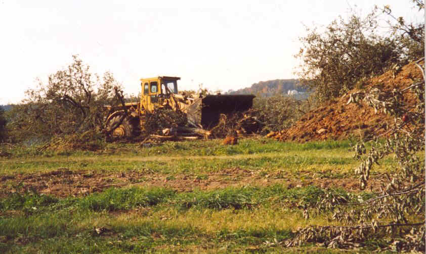 Bulldozer in field