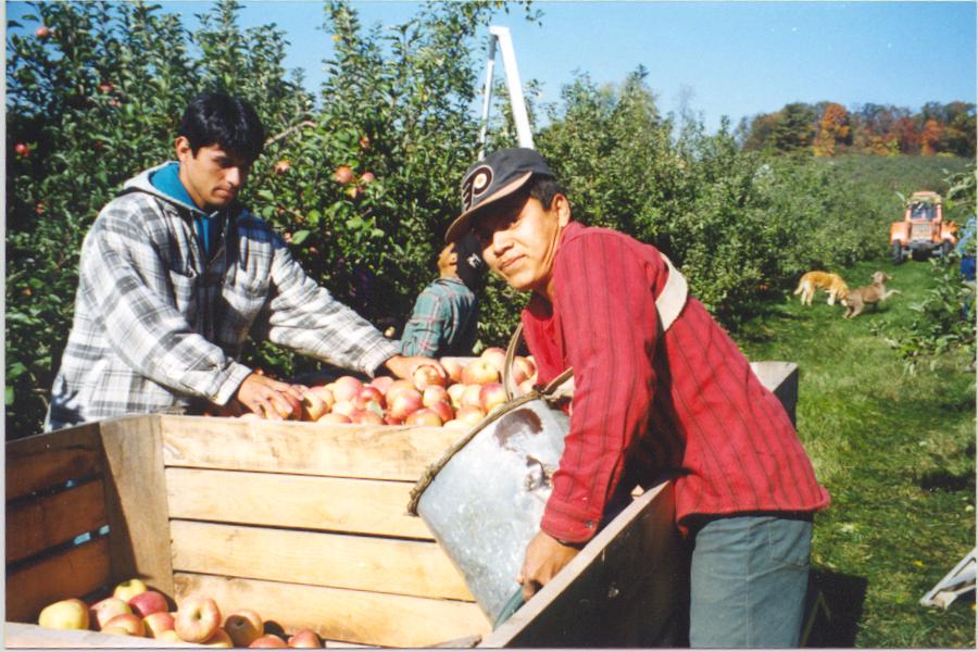 Photograph of Pickers