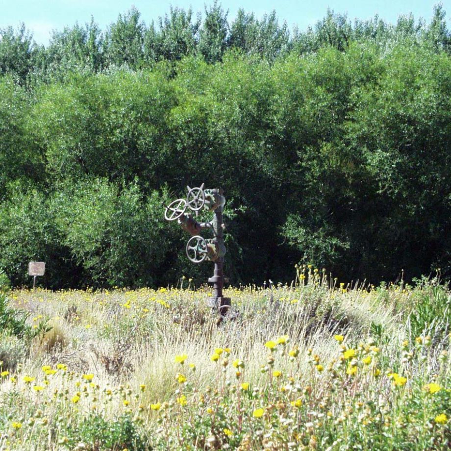 Estancia San Carlos, tree valve