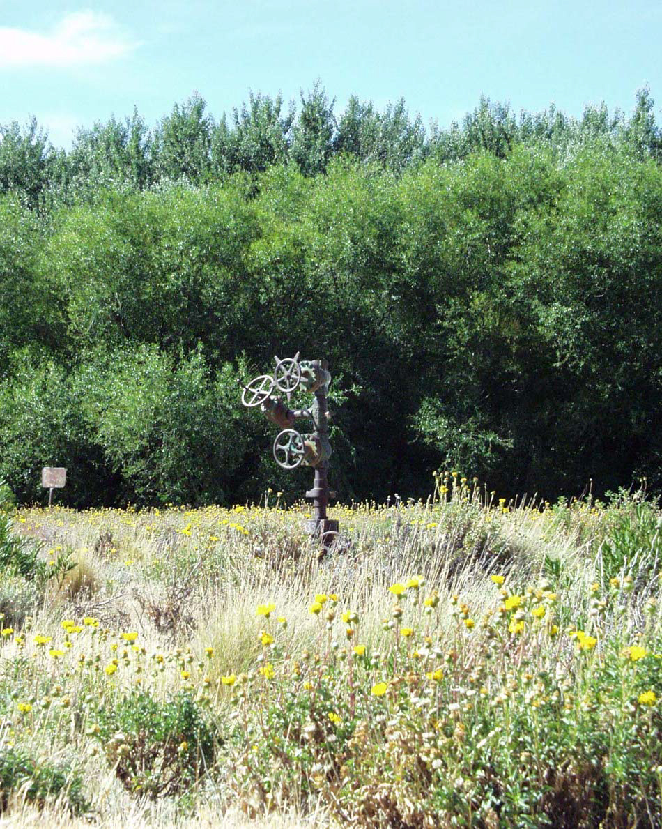 Estancia San Carlos, tree valve