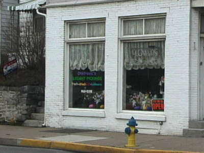 Dmitrovic's Elegant Pickings flower shop