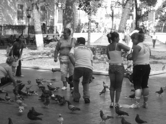 People and Birds
